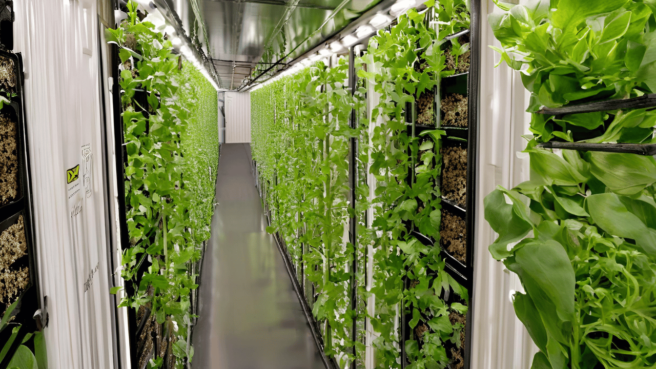 Sustainability-and-Community-Impact